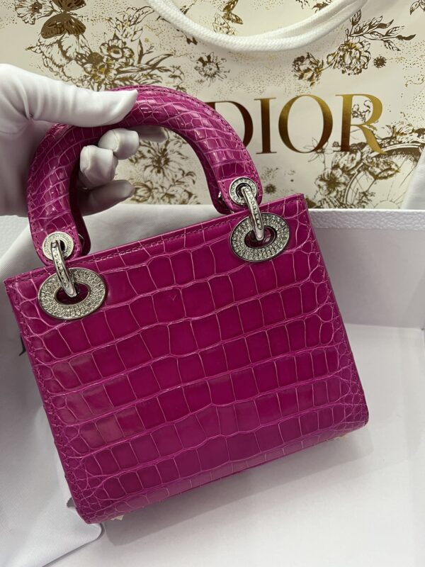 Dior Shiny Alligator