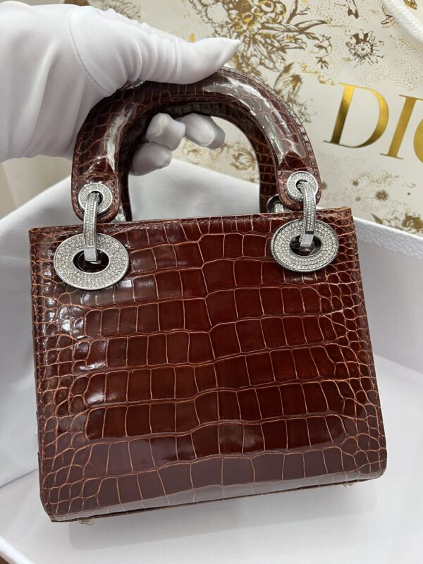 Dior Shiny Alligator