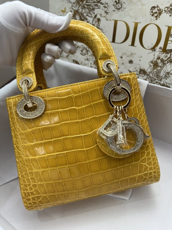 Dior Shiny Alligator
