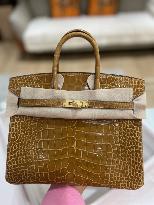 Birkin 25 Ficelle Shiny Alligator