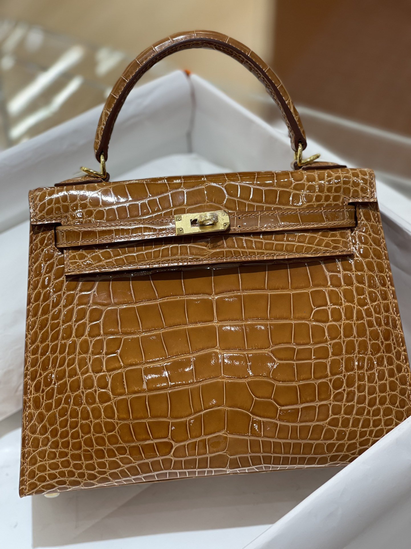 12614.jpg Kelly 25 Caramel Shiny Alligator - Image 1