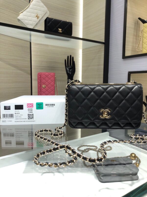 Chanel Bag