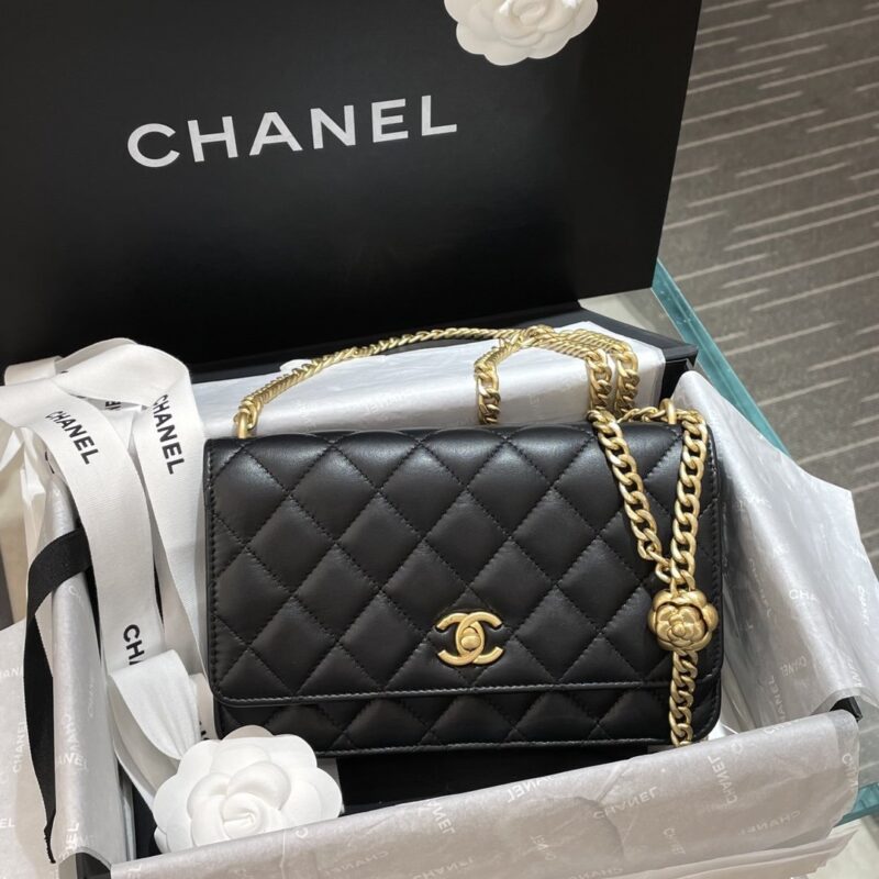 Chanel New 2023 Bag