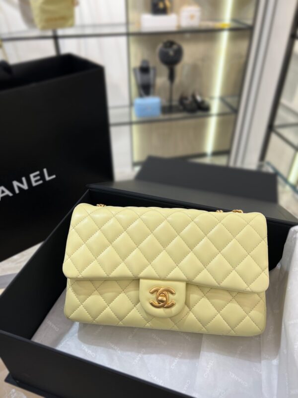 Chanel New 2023 Bag