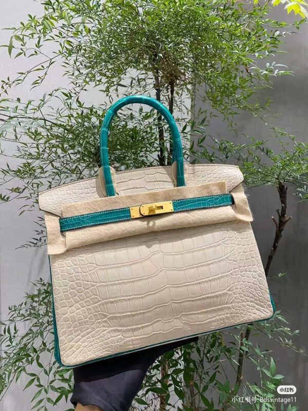 Birkin 30 Matte Alligator