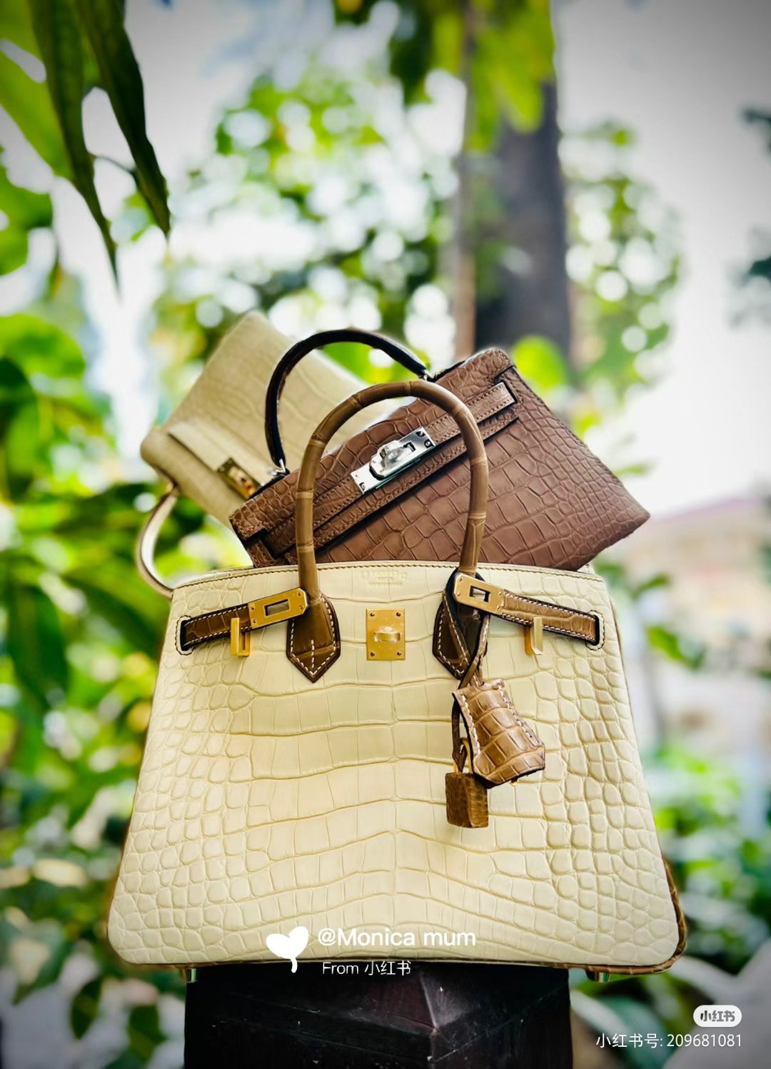 20147.jpg Birkin & Mini Kelly Croco - Image 1