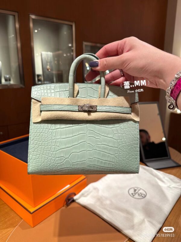 Birkin 20 Matte Crocodile