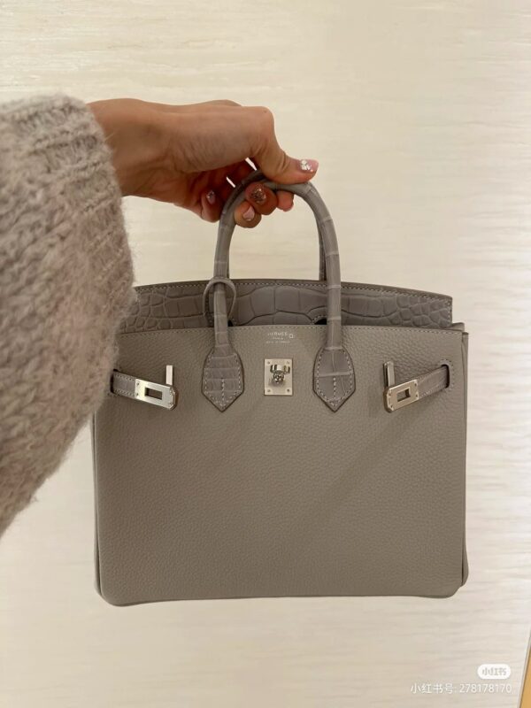Birkin Touch 25 in Grey