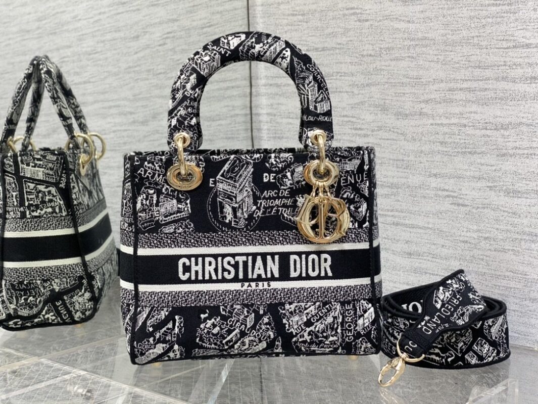 Lady Dior Bag in Paris Map Embroidery