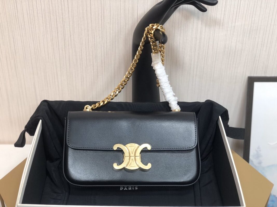 Celine Small Shiny Calf Leather Chain Bag