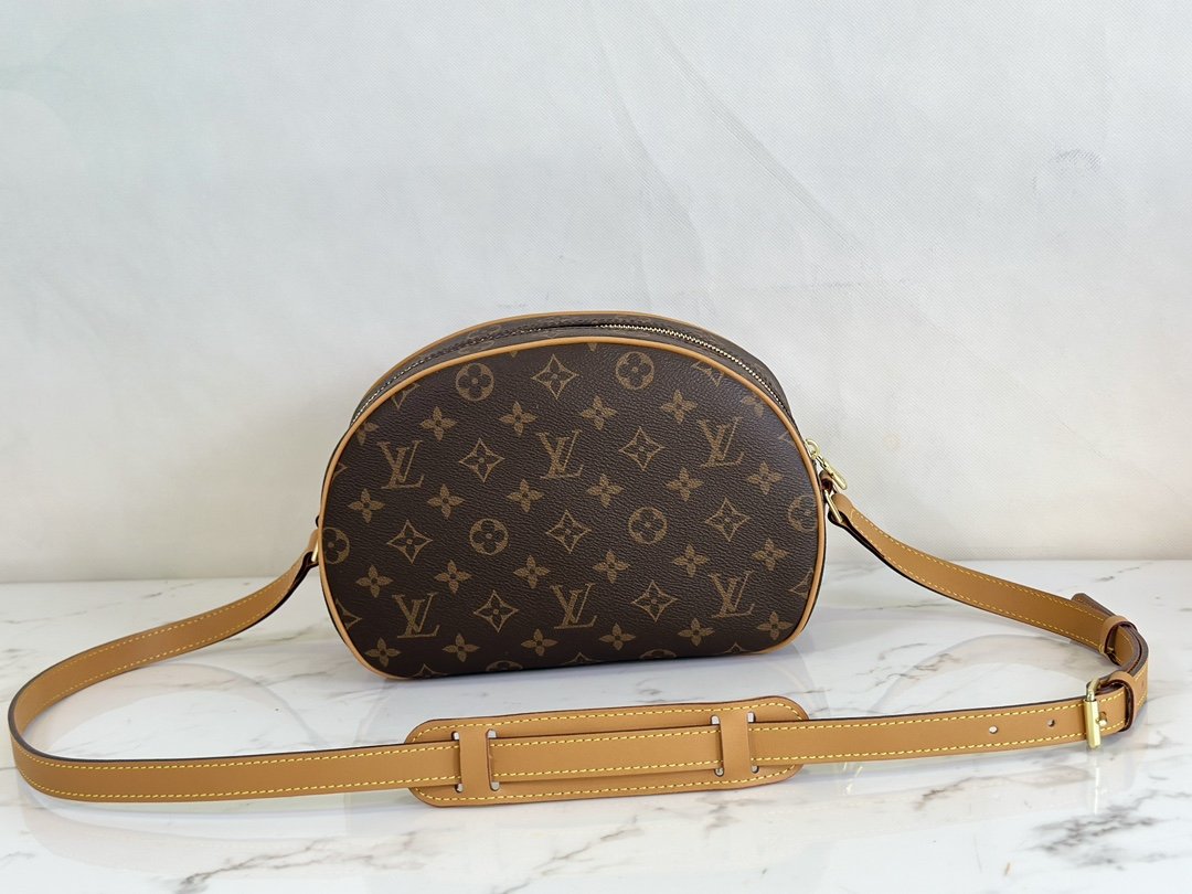 Louis Vuitton Monogram Mresbyopic Bag - Image 2