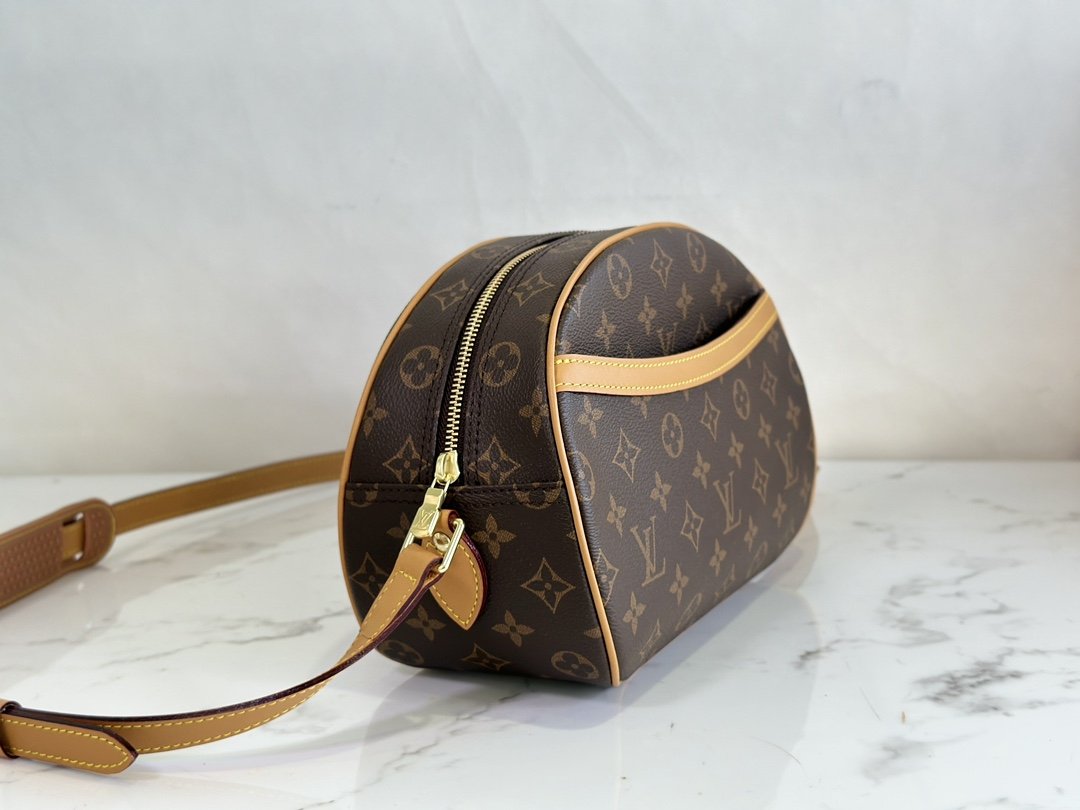 Louis Vuitton Monogram Mresbyopic Bag - Image 6