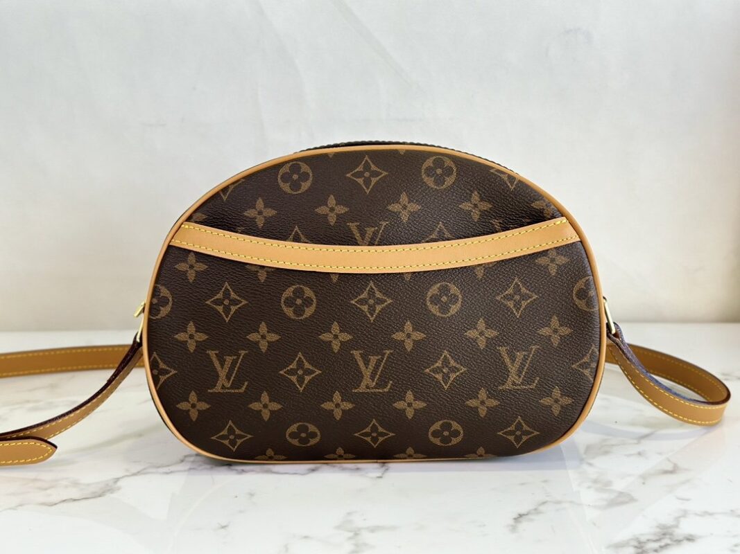 Louis Vuitton Monogram Mresbyopic Bag