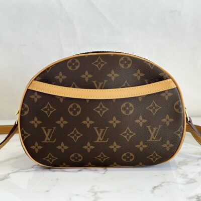 Louis Vuitton Monogram Mresbyopic Bag