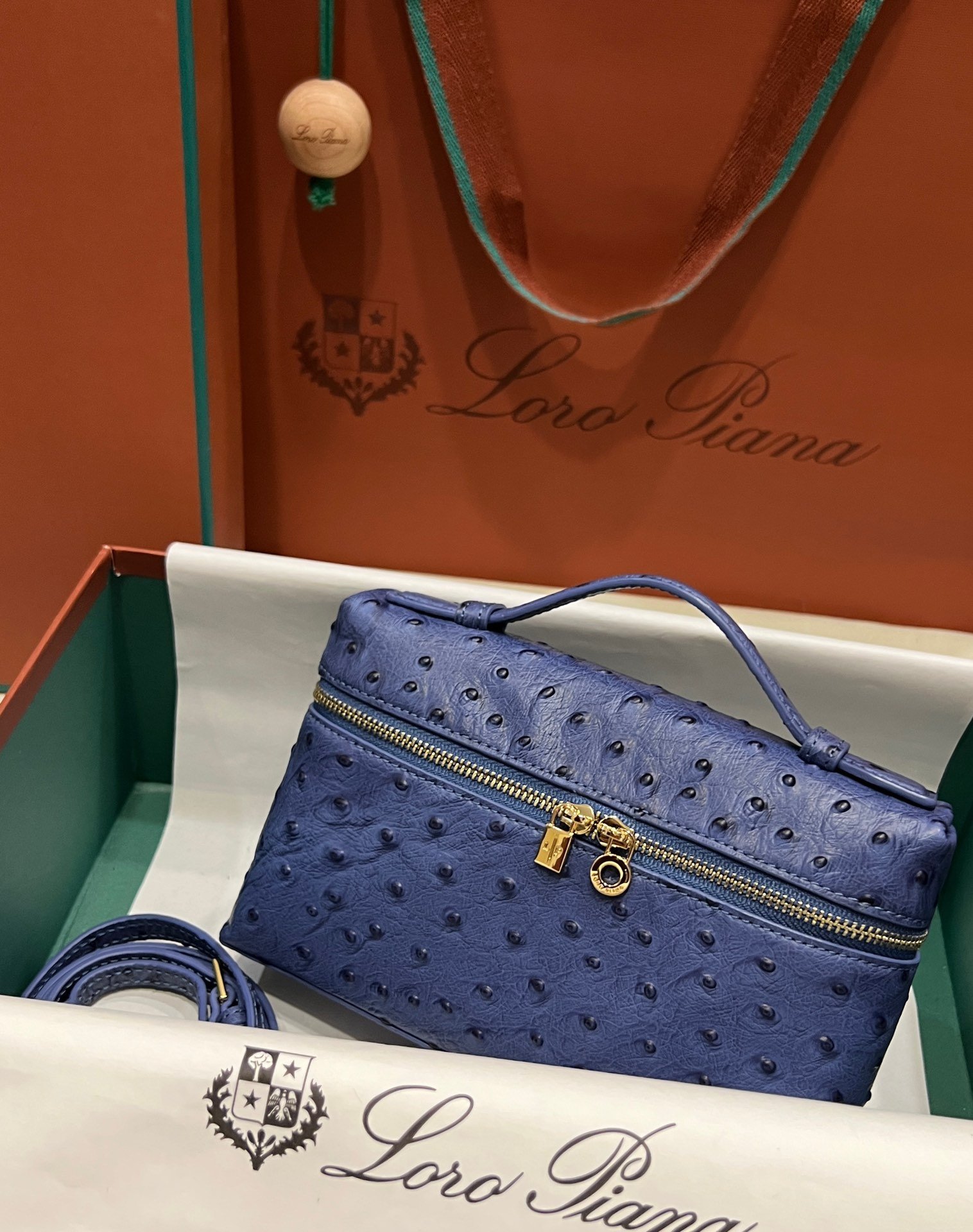 1000018731.jpg Loro Piana L19 in Blue Ostrich GHW - Image 1