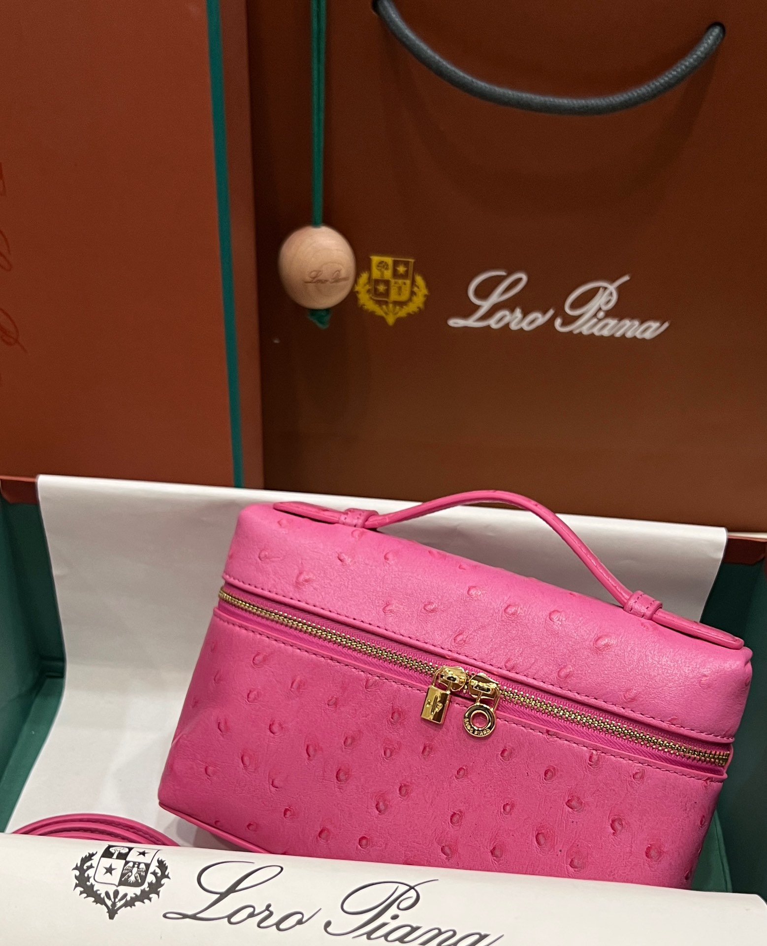 1000018758.jpg Loro Piana L19 in Pink Ostrich GHW - Image 1
