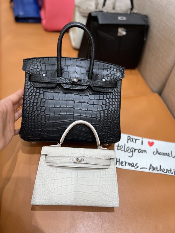 Birkin & Kelly in Matte Alligator