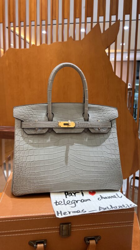 Birkin 30 Matte Crocodile