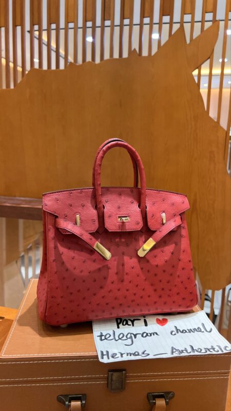 Birkin 25 Ostrich