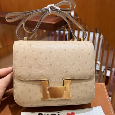 Constance 18 in Craie Ostrich GHW