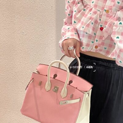 Birkin 25 Taurillon Nobillo