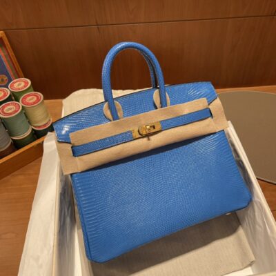 Birkin 25 Lizard Mykonos