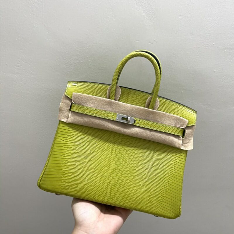Birkin 25 Lizard