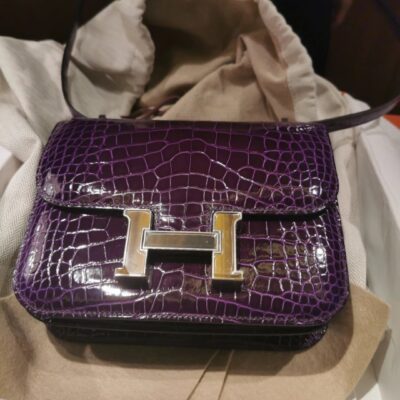 Constance 18 Shiny Crocodile