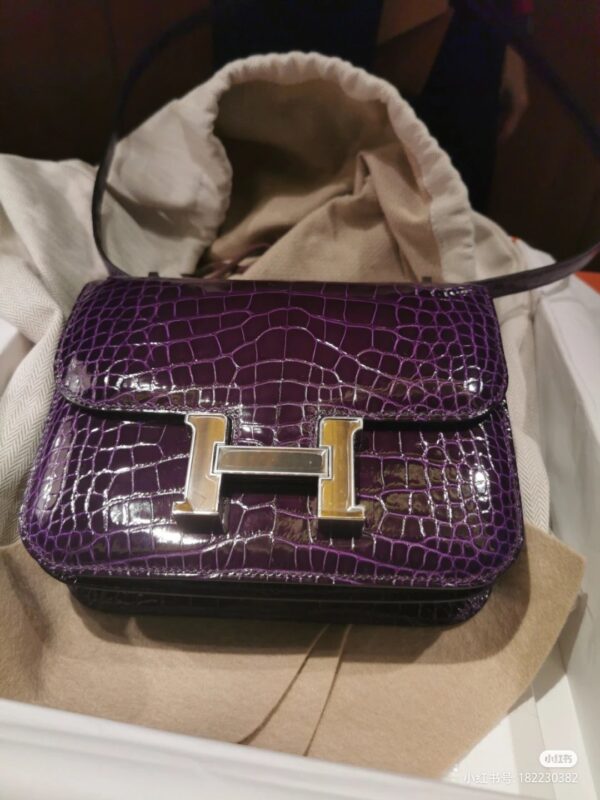 Constance 18 Shiny Crocodile