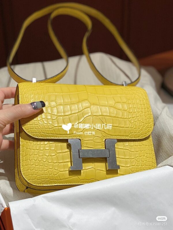 Constance 18 Matte Alligator