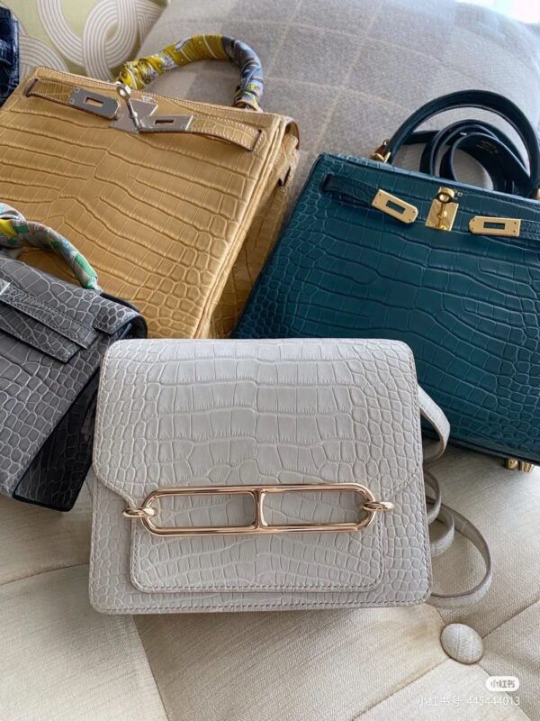 Hermes Bags in Matte Crocodile