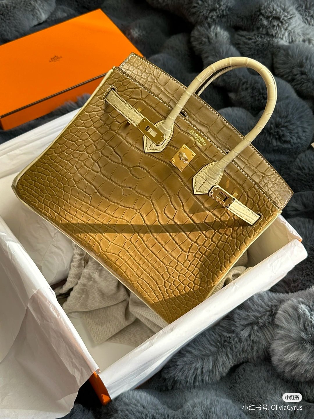 19803.jpg Birkin 25 Matte Crocodile - Image 1