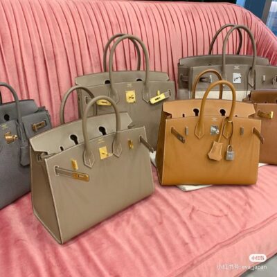 Birkin 25 Epsom Collection