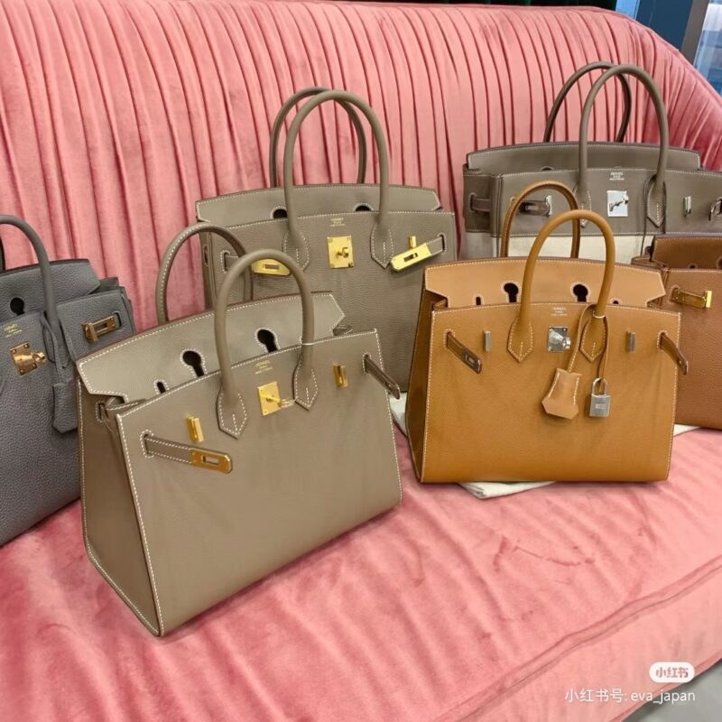 Birkin 25 Epsom Collection