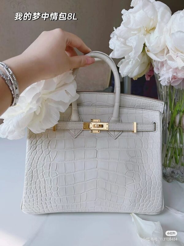 Birkin 25 Matte Crocodile
