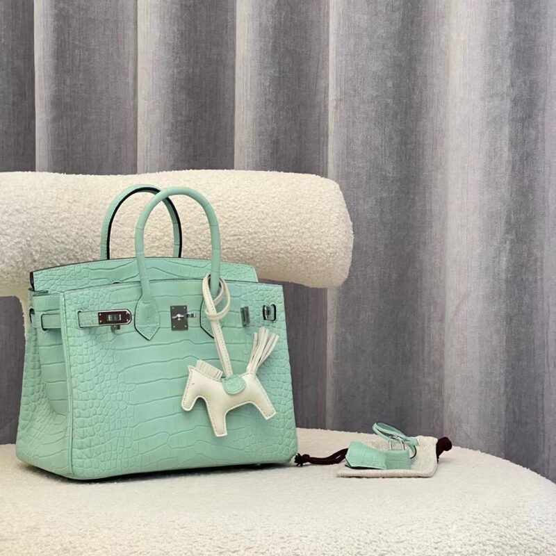 Birkin 25 Matte Crocodile