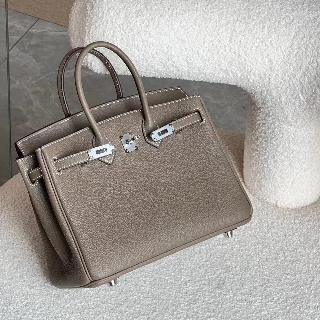 22791.jpg Birkin 25 Epsom - Image 1