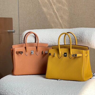 Birkin 25 Togo Collection