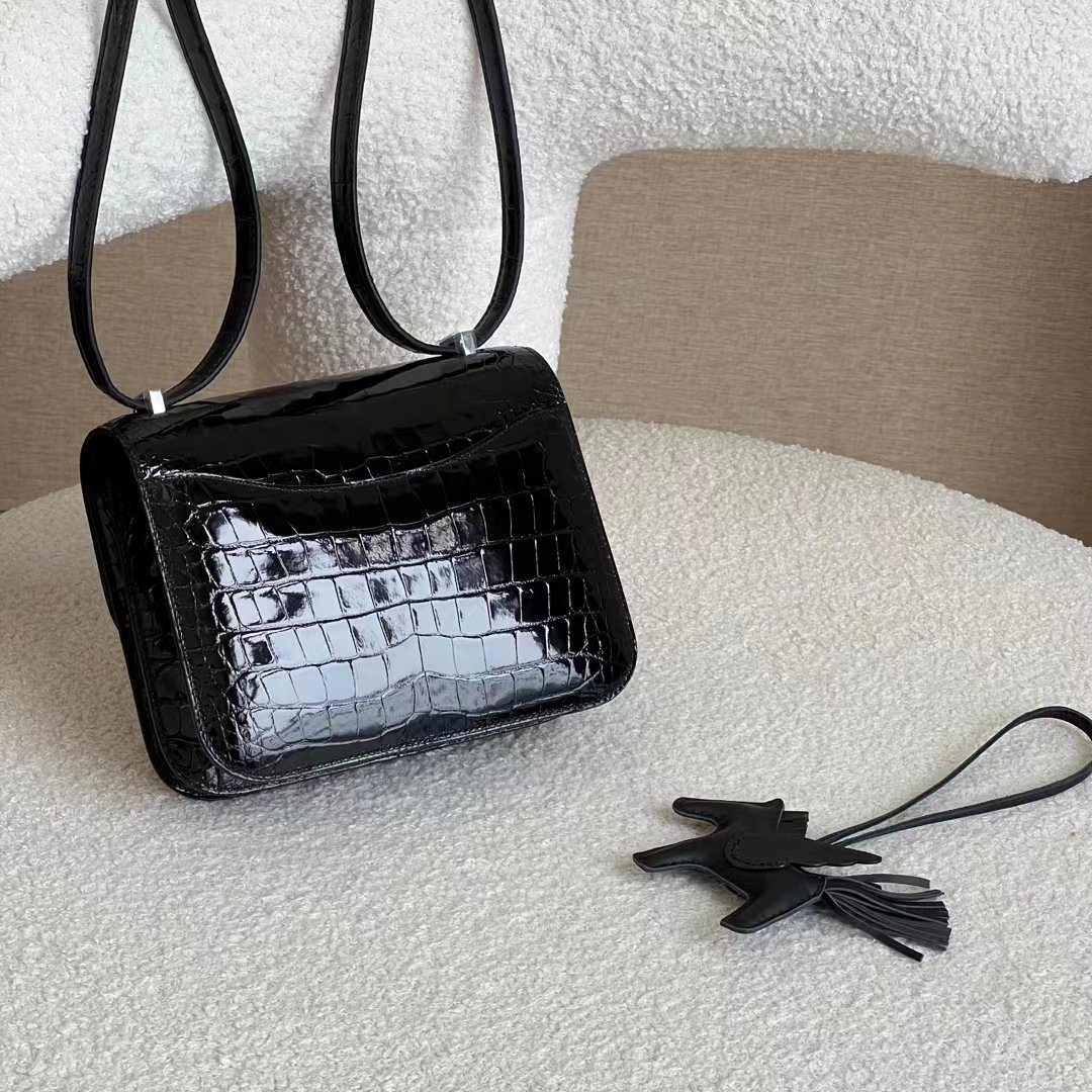Constance 18 Shiny Crocodile - Image 2