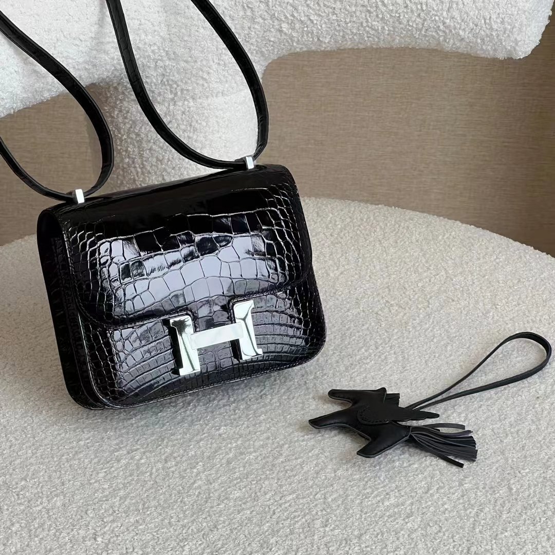 Constance 18 Shiny Crocodile - Image 3