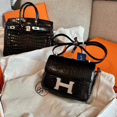 Constance 18 Shiny Crocodile