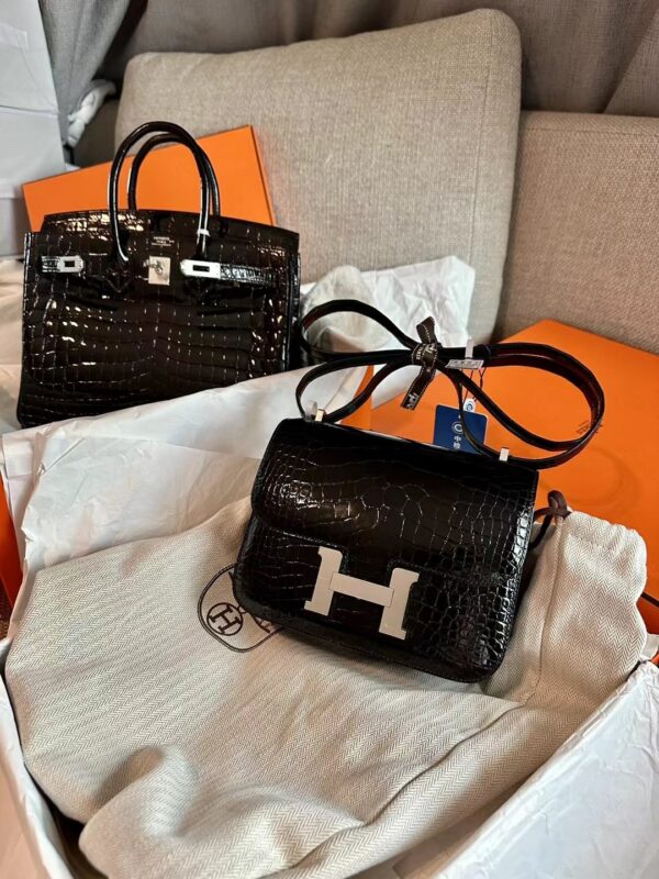 Constance 18 Shiny Crocodile