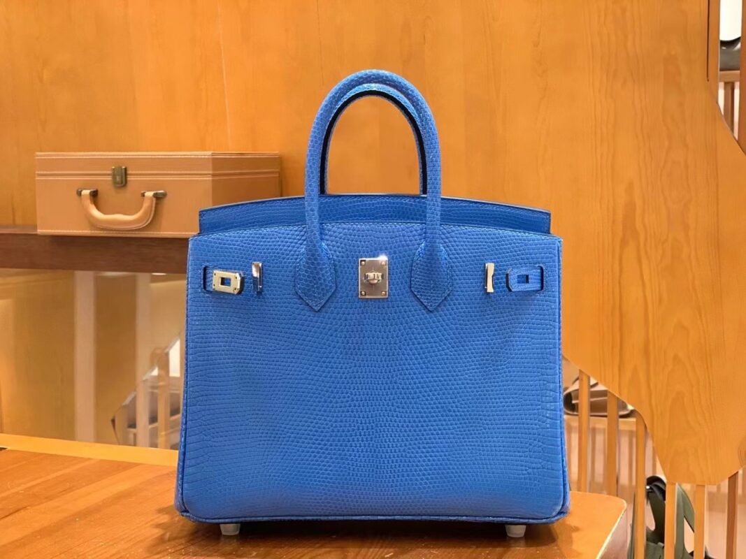 Birkin 30 Lizard