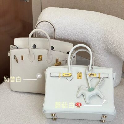 Birkin 25 Togo Bags
