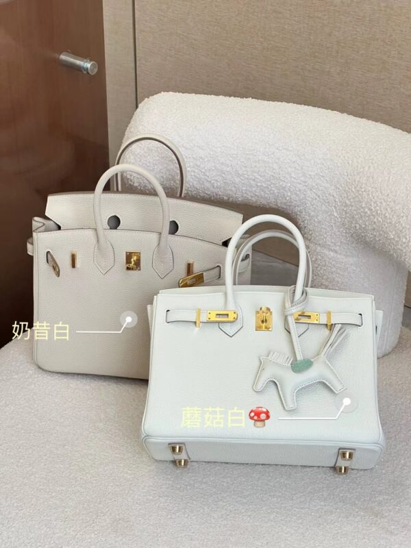 Birkin 25 Togo Bags