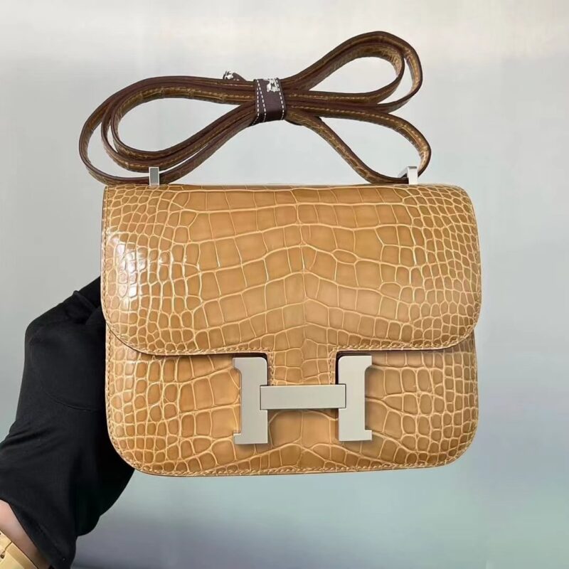 Constance 18 Shiny Alligator