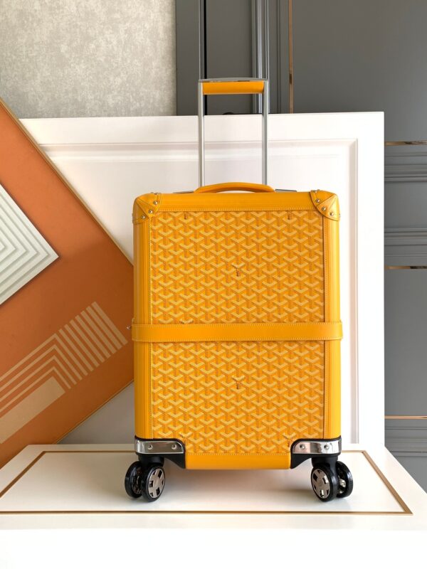 Goyard Carry-on Case