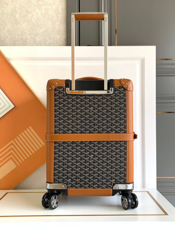 Goyard 20-inch Carry-on Case