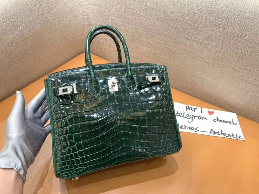 Birkin 30 Shiny Crocodile Palladium Zircon Hardware