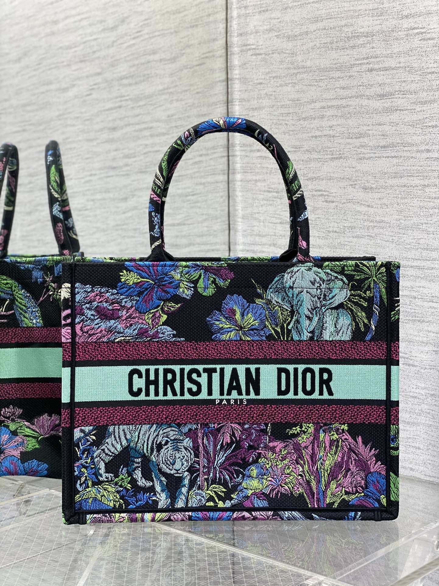 Dior Book Tote